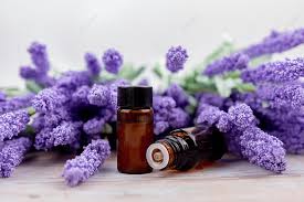 What is lavender essential oil?